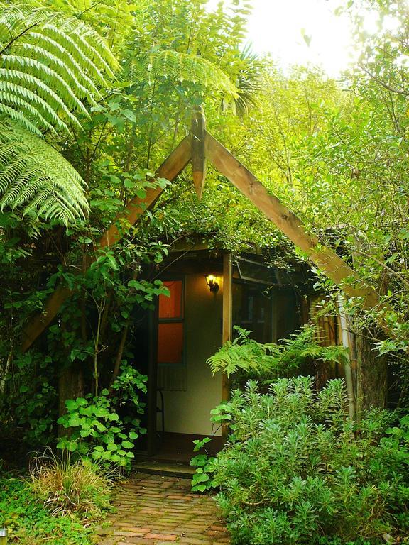 Mount Tutu Eco-Sanctuary Bed & Breakfast Ohauiti Стая снимка